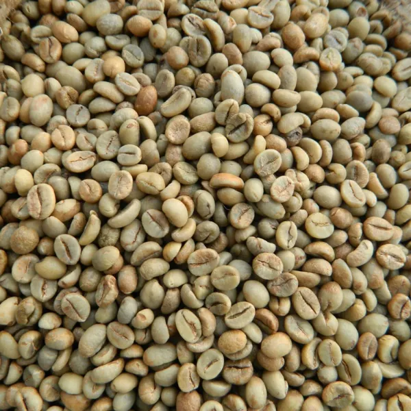 Hạt cà phê nhân xanh Robusta Việt Nam